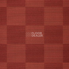 Ковролин Carpet Concept Sqr Nuance Square 20 Terra фото 1 | FLOORDEALER